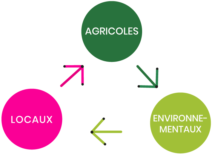 enjeux-methanisation
