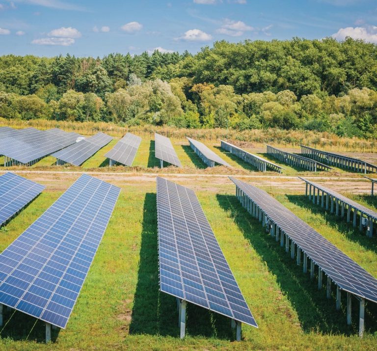 AdobeStock_293418765-recadree (1)